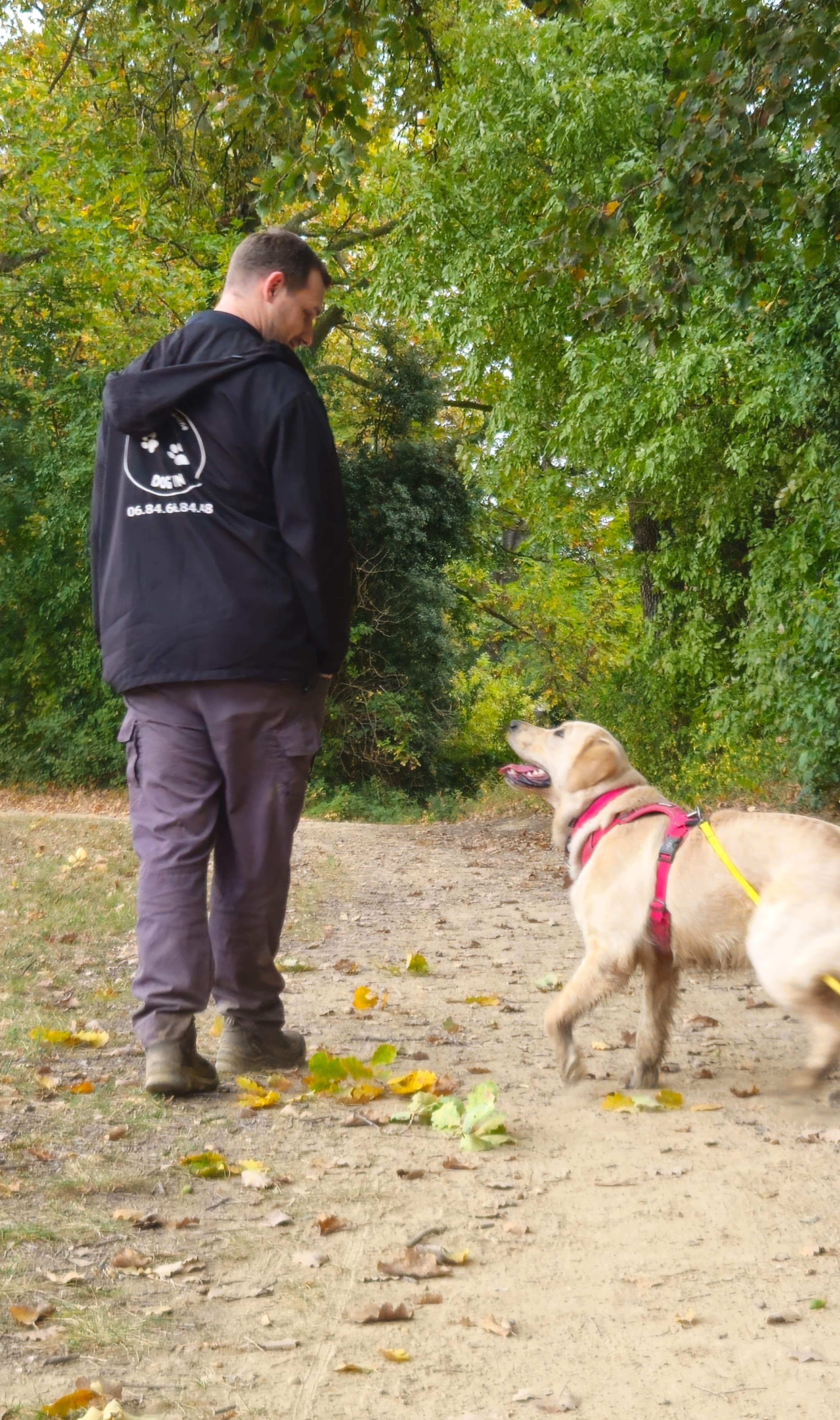 Cours d'éducation canine
