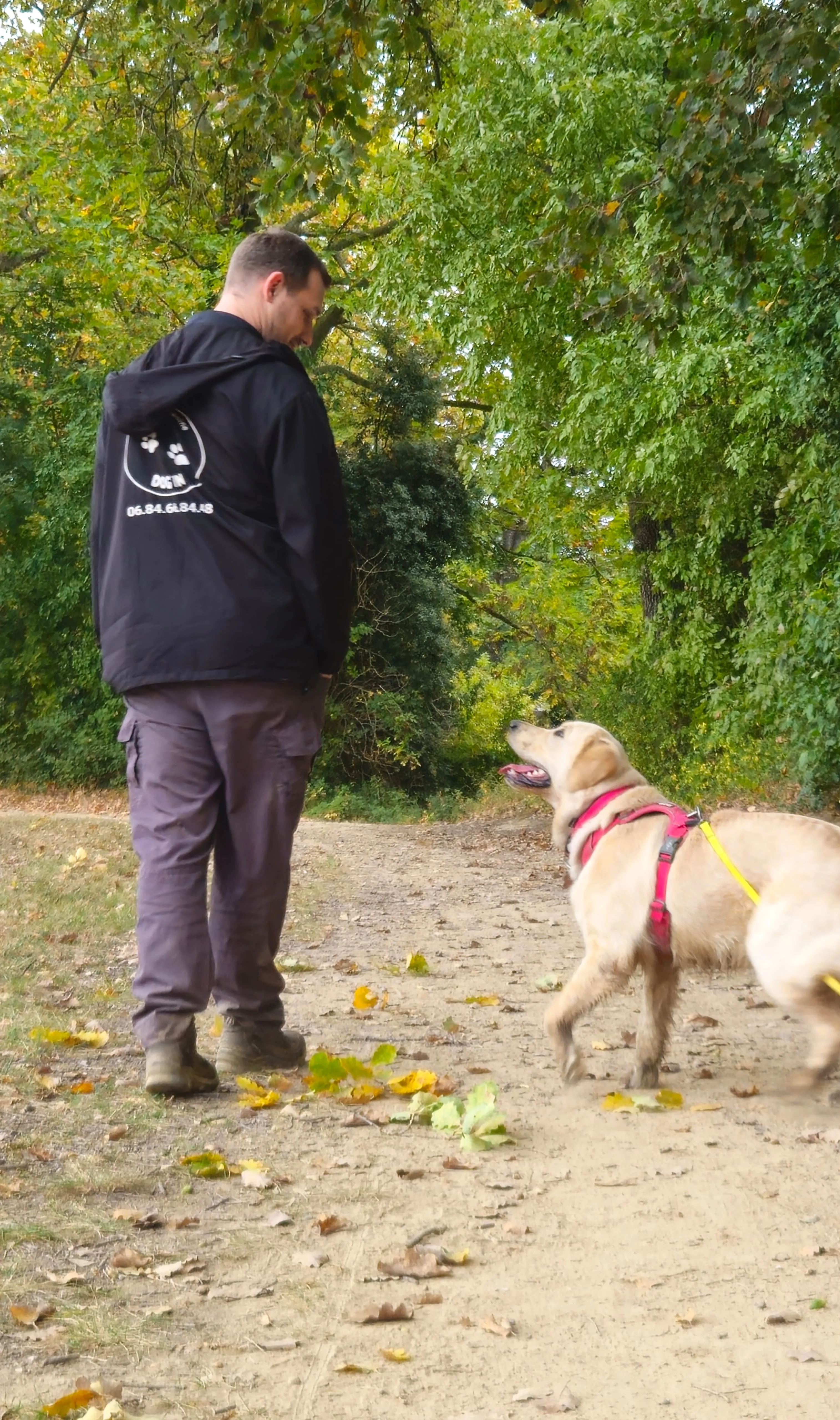 Cours d'éducation canine