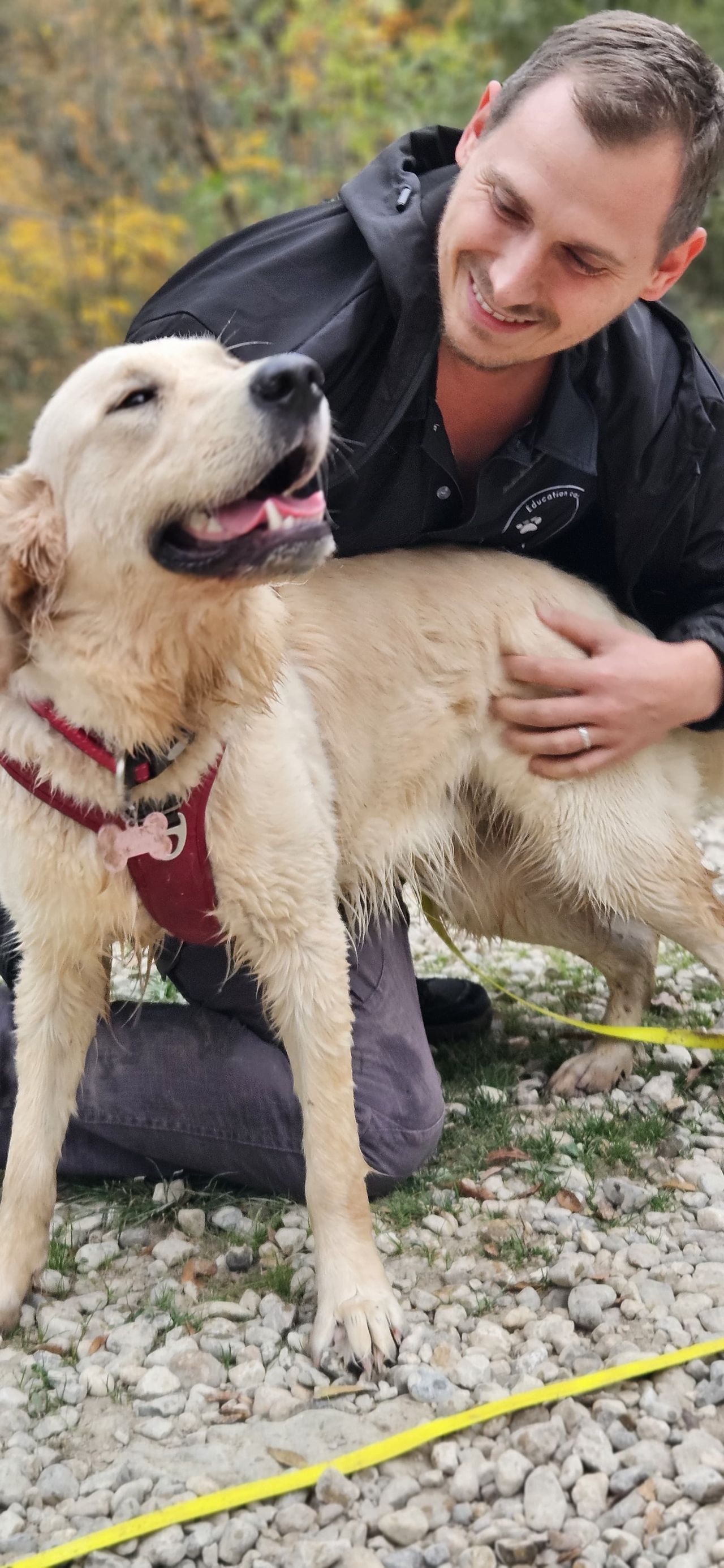 Éducateur canin Dog'In avec un chien