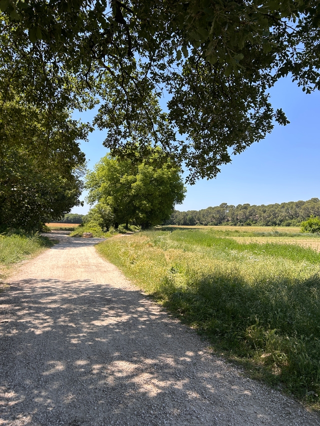 Fesquet3