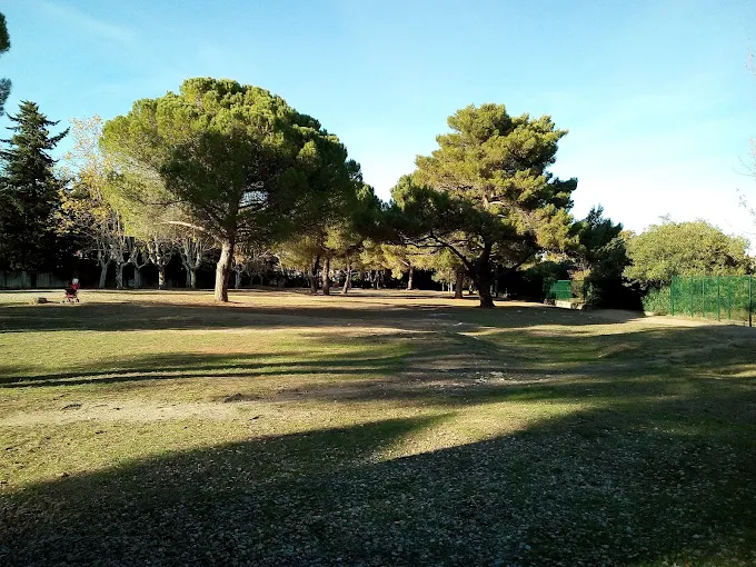 montcalm2