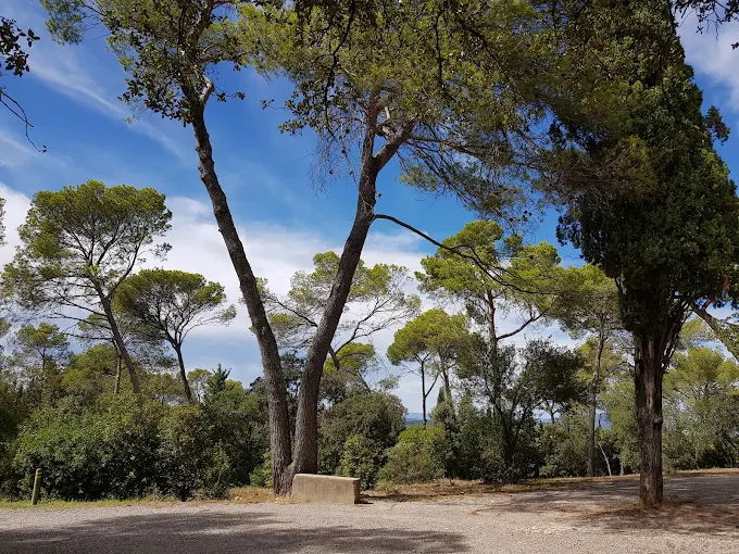 montmaur